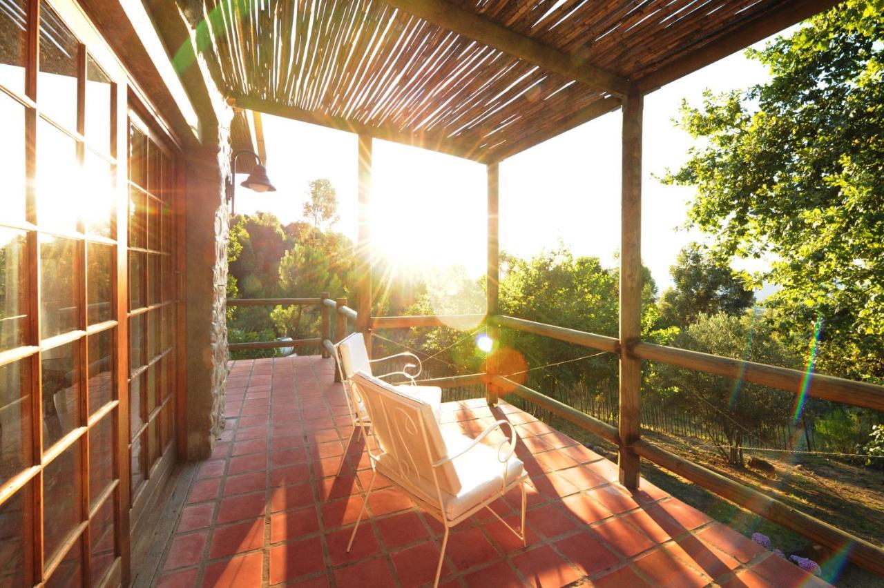 Amberg Country Estate Konuk evi Paarl Dış mekan fotoğraf