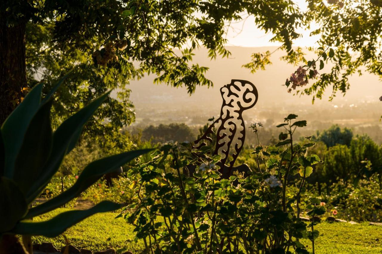 Amberg Country Estate Konuk evi Paarl Dış mekan fotoğraf