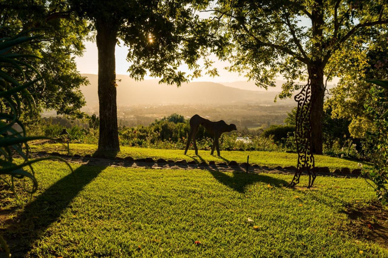 Amberg Country Estate Konuk evi Paarl Dış mekan fotoğraf